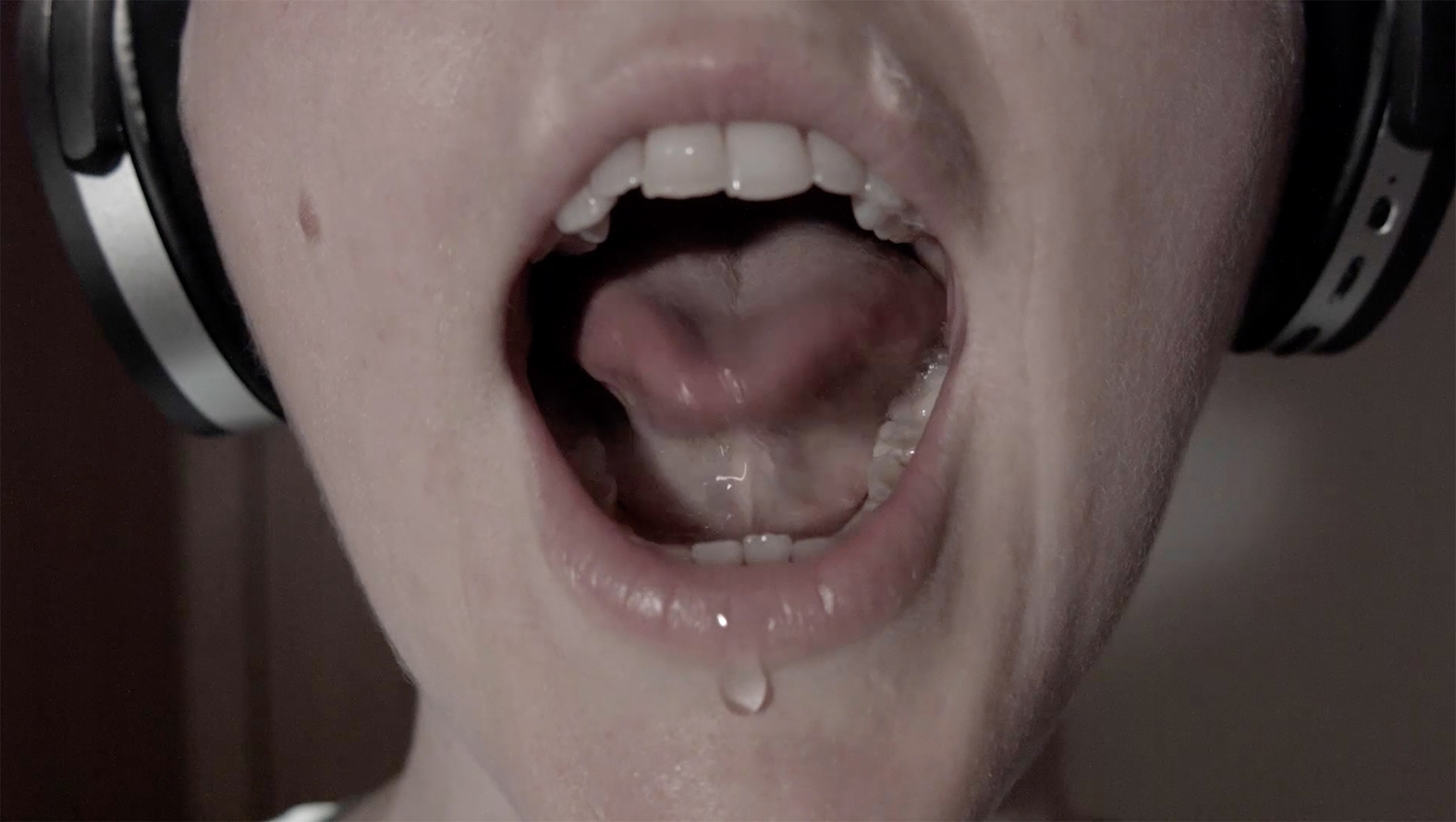 A descriptive caption for the image