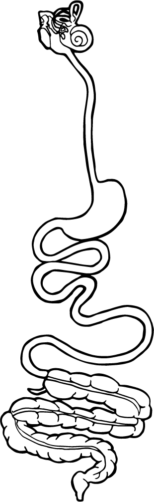 A descriptive caption for the image